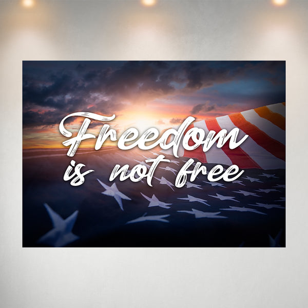 America - Freedom Poster