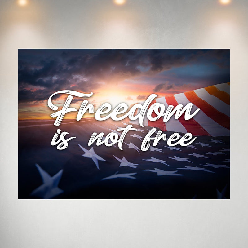 America - Freedom Poster