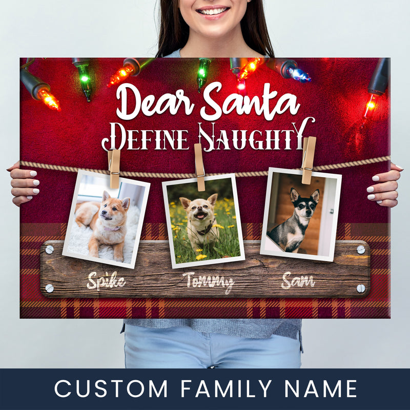 Define Naughty Dog Premium Canvas