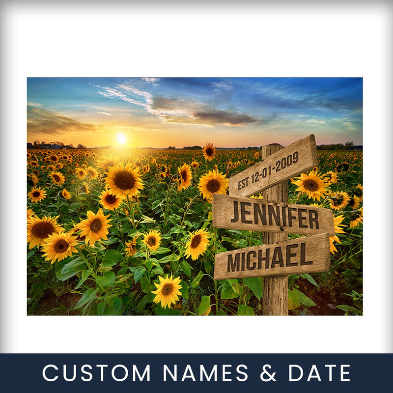 Sunflower Field Color Names High Resolution Download